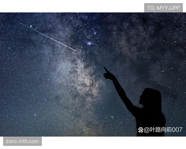 恩佐从新星到核心的数据成长轨迹分析